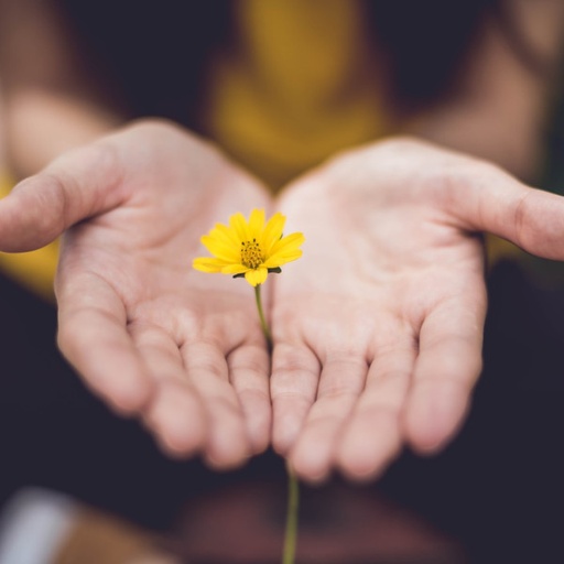 Séance naturopathique à domicile